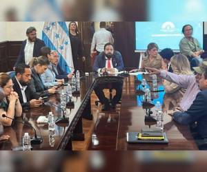 Nueve titulares y cuatro suplentes, ellos son los diputados que integran la comisión permanente instalada por Luis Redondo en un madrugón este sábado 1 de noviembre.