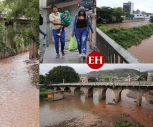 Pese a que el huracán Julia se degradará a tormenta tropical cuando pase por el Pacífico de Honduras, varias zonas del país han comenzado a sufrir las consecuencias y en la capital se vive un ambiente de temor e incertidumbre ante la amenaza. En esta galería te mostramos las fotos captadas por nuestro fotoreportero David Romero, quien -con su lente- captó algunas zonas vulnerables en la capital.