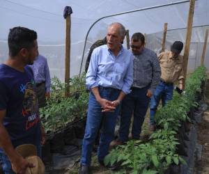 El presidente Nasry Asfura aseguró que seguirán apostando al productor.