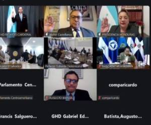 Xiomara Castro ahora asumirá como diputada por Honduras al Parlacen.