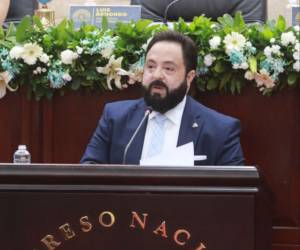 Redondo solicitó la renuncia de la candidata a designada presidencial por el Partido Nacional, Diana Waleska Herrera, tras la publicación de imágenes de su hijo.