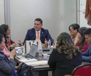 El presidente de la comisión especial, el diputado del Partido Nacional, Arnold Burgos, brindó detalles de las reuniones.