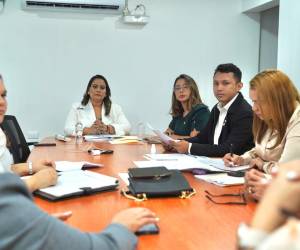 La comisión ha venido trabajando de manera previa en la construcción de instrumentos jurídicos para endurecer los castigos.