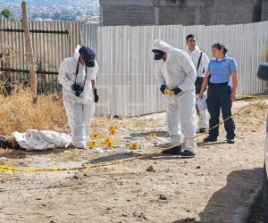 La escena fue acordonada mientras se realiza la pericia en el lugar y el levantamiento médico legal del cuerpo.