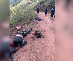 Las víctimas habrían sido emboscadas por un grupo rival mientras transitaban por una ruta utilizada para evadir operativos policiales en la zona. Los cuerpos estaban sin cabeza y algunos sin brazos; aquí más detalles.