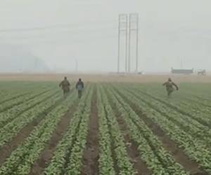 Los migrantes salieron corriendo del lugar cuando vieron las patrullas de ICE.