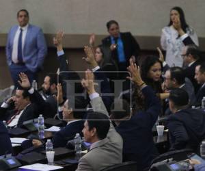 Preliminarmente, se maneja que el Poder Judicial podría disponer de un periodo de dos semanas para entregar sus valoraciones legales.