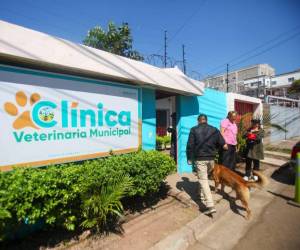 Desde su apertura oficial el 2024, la clínica veterinaria municipal ofreció atención gratuita a más de 22,500 mascotas capitalinas.