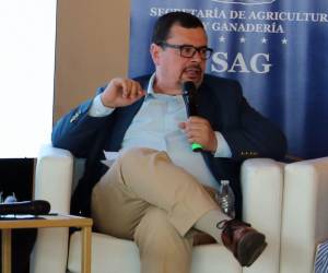 Moisés Molina, ministro de la Secretaría de Agricultura y Ganadería (SAG), dijo que no hay alimento para las vacas porque los ganaderos no se prepararon.
