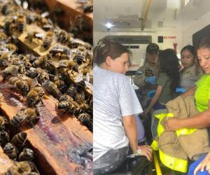 Una familia fue atacada por un enjambre de abejas en Tegucigalpa, dejando a seis personas afectadas, entre ellas, tres menores de edad.