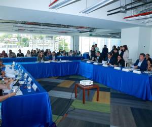 La ministra de Educación destacó avances del Gobierno en materia educativa, como la entrega de textos escolares y guías de trabajo en los centros educativos del país.
