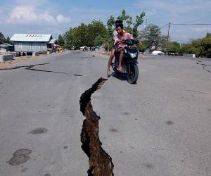 Sin número de heridos y casi medio centenar de muertos suma el terremoto que azotó este sábado a Indonesia. Aquí los detalles.