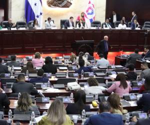 Las reformas a los artículos 14, 15 y 24 buscan eliminar vacíos legales y prohibir la duplicidad de cargos públicos remunerados en el órgano electoral.