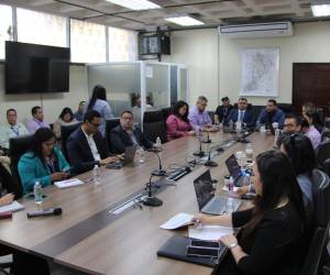 Representantes del Gobierno y del Colegio Médico instalaron este lunes la mesa técnica ampliada que revisará y agilizar el proceso de pago a los galenos que se les adeuda salario.
