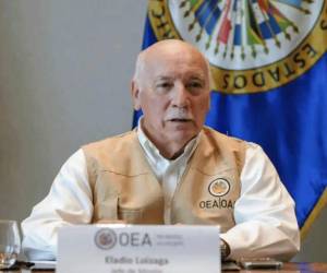 Durante la sesión extraordinaria en el salón Simón Bolívar, Eladio Loizaga, jefe de la MOE-OEA explicó que continúan con un análisis integral del proceso.