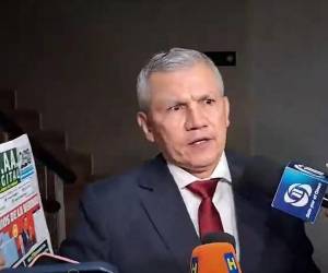 Hernández dijo que el proceso deriva de la expresión que se utilizó para titular un artículo de la revista militar y que, según explicó, fue interpretada de manera distinta a su intención.