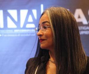 Las declaraciones de Castellanos se dieron tras una reunión con la Comisión de Presupuesto del Congreso Nacional.