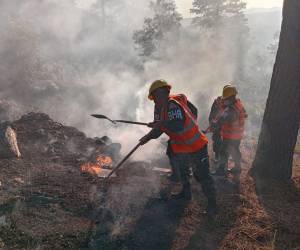 La comuna capitalina identificó 222.8 km expuestos a incendios y anunció patrullajes, capacitaciones y campañas de prevención.