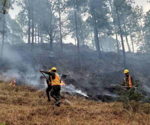 Más del 92% de los incendios que se registraron durante la temporada seca fueron controlados por las brigadas.