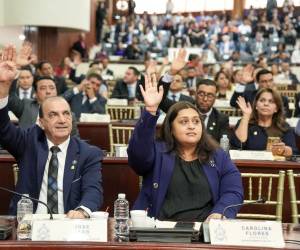 El Congreso aceptó la renuncia de una diputada suplente del Partido Liberal.