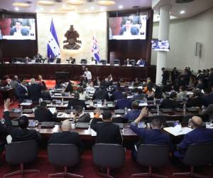 En los próximos días esta iniciativa llegará al pleno del Congreso Nacional.