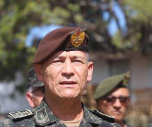 El jefe del Estado Mayor, Héctor Benjamín Valerio, afirmó que las FF AA apoyarán declaratoria del CNE.