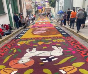 Tras años de rehabilitación de la avenida, las alfombras vuelven a Cervantes, recordando décadas de historia, fe y expresión artística en la capital.