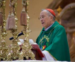 El cardenal mostró estar a favor de la reforma en materia de energía hecha por el Congreso.