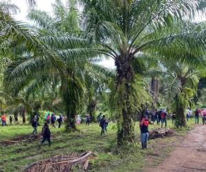 Los sicarios llegaron hasta una finca de Trujillo, Colón y acabaron con la vida de varias personas.