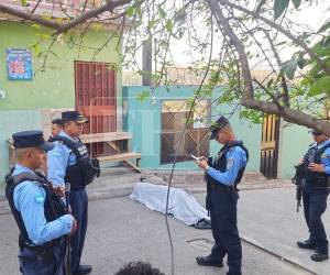 Hasta el momento se desconoce el móvil del crimen, así como la identidad de los implicados