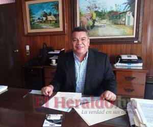 Menjívar dijo que ya no hay restricciones de solicitudes de crédito, por lo que ahora los financiamientos abarcan rubros como ganadería, café, banano, incluyendo todo tipo de cultivos.