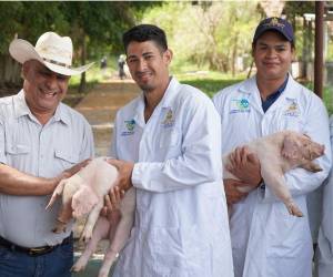 Los productores de los departamentos de Choluteca, Yoro y Olancho, recibieron las parejas de ejemplares porcinos de alto valor genético para mejorar la producción.