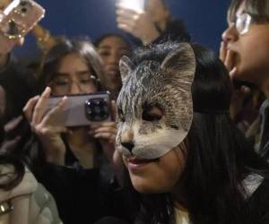 Una concentración convocada a través de redes sociales por jóvenes que se identifican como “therians” terminó en disturbios la noche del sábado en Barcelona, España, y dejó cinco personas detenidas por presuntos delitos de desorden público.