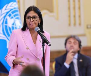 Espero que Venezuela no se convierta en un peón de la agenda política de ningún otro país, dijo.