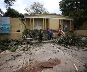 Las lluvias recientes causaron caída de árboles, deslizamientos y daños en escuelas y vehículos de Tegucigalpa y Comayagüela, según reportes oficiales.