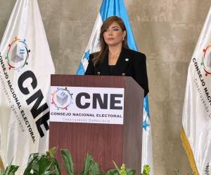 Ana Paola Hall, presidenta del órgano electoral, lamentó las acciones de Marlon Ochoa.