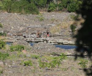 234 municipios de Honduras permanecerán en alerta roja, amarilla y verde por 120 días como consecuencia de la sequía que azota al país.