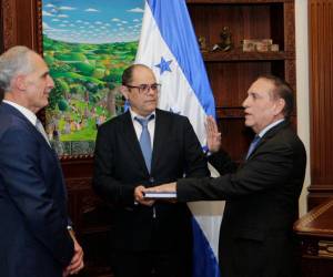 Varias autoridades fueron juramentadas para ejercer diferentes funciones en el sistema público de salud.