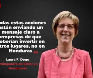Laura Dogu, embajadora de EEUU en Honduras, refirió estar preocupada por las acciones del gobierno que ahuyentan la inversión<b> </b>en el país y sus palabras generaron una rápida reacción desde el gobierno.