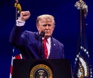 El presidente estadounidense Donald Trump pronuncia un discurso durante la celebración del 250 aniversario de Estados Unidos en el National Mall de Washington, D.C., EE. UU., el 4 de julio de 2026. El espectáculo de fuegos artificiales que siguió al discurso del presidente fue, según se informa, el mayor de la historia, con 850,000 proyectiles lanzados durante 40 minutos.