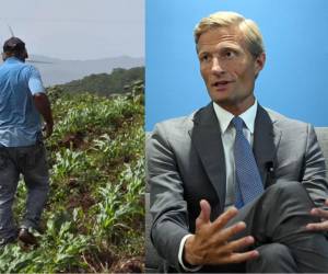 El fenómeno de El Niño amenaza con asestar un golpe duro a la seguridad alimentaria en Centroamérica, aseguró Carl Skau, director ejecutivo interino del Programa Mundial de Alimentos.