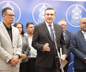 La discusión se desarrolló en el seno de la Comisión de Minería e Hidrocarburos del Legislativo, presidida por el diputado Erick Alvarado.