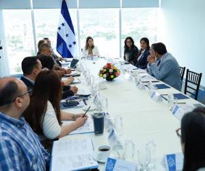 La designada presidencial María Antonieta Mejía asumió la conducción del sistema, con la tarea de articular respuestas inmediatas.