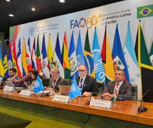 Honduras participa a través del secretario de Agricultura y Ganadería, Moisés Molina.