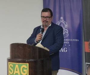El titular de la Secretaría de Agricultura y Ganadería (SAG), Moisés Molina, considera que la emergencia por la sequía es grave pero que la situación es manejable por parte de las autoridades.