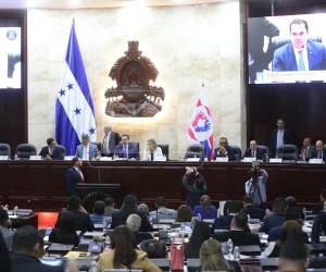 Estas fueron algunas de las propuestas presentadas durante la sesión del pleno.