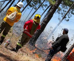 Las autoridades municipales señalaron que la mayoría de incendios han sido pequeños y se han sofocado a tiempo, evitando daños mayores.