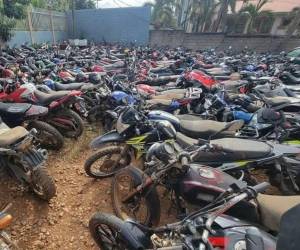 El director de la DNVT afirmó que uno de los requisitos para retirar las motocicletas es contar con licencia de conducir vigente.