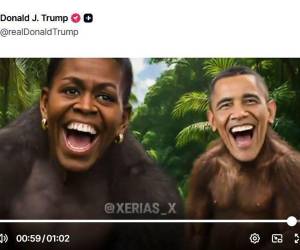 La representación racista del matrimonio como chimpancés en una selva ocurre al final de un corte en el que suena la canción 'The Lion Sleeps Tonight'.