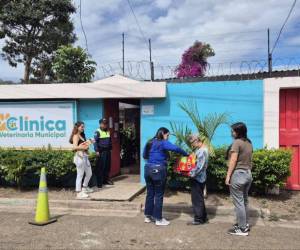 Mascotas reciben atención básica en la veterinaria municipal del Distrito Central, que cuenta con vacunación, desparasitación y esterilización